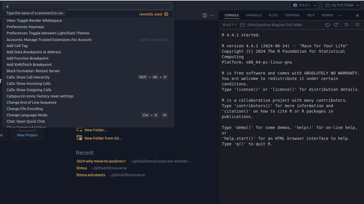 Positron command palette.