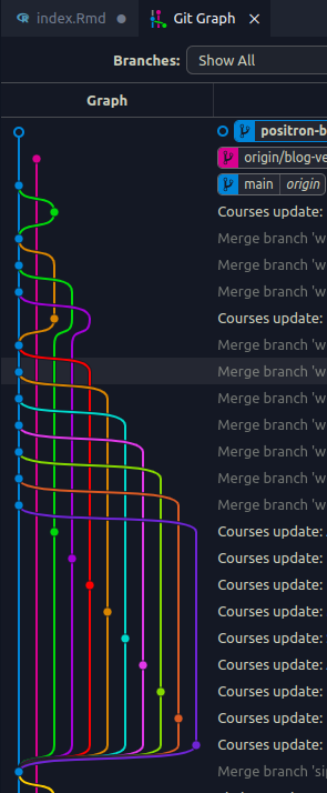 Complex git graph with lots of branches.